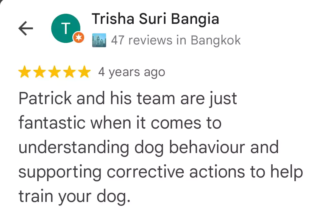 review-12-6877657c3d739