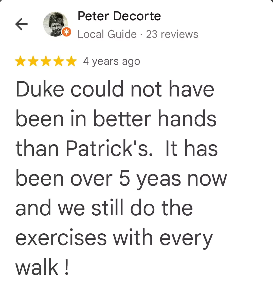 review-19-68776593c60d4